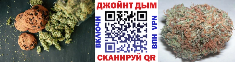 наркотики Суздаль Cannafood марихуана
