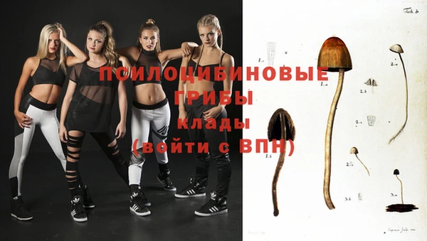 стафф Абаза