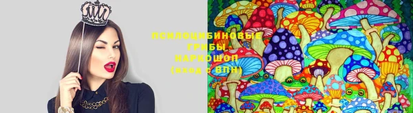 гидропоника Абдулино