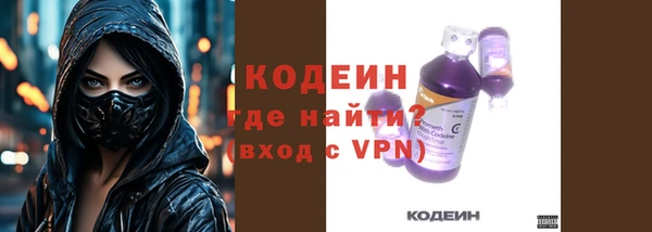 индика Новокубанск