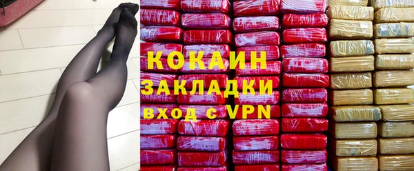индика Новокубанск