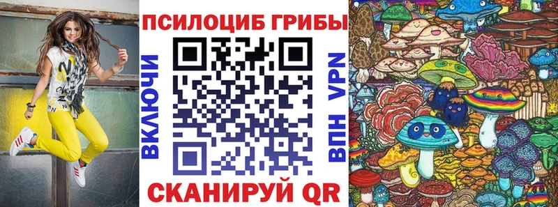Галлюциногенные грибы прущие грибы  Суздаль 
