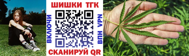 Конопля ГИДРОПОН  Суздаль 